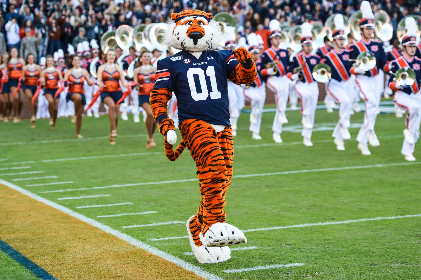 Georgia vs Auburn Football